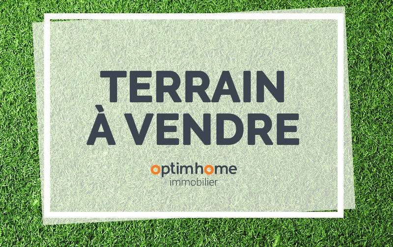 Terrain