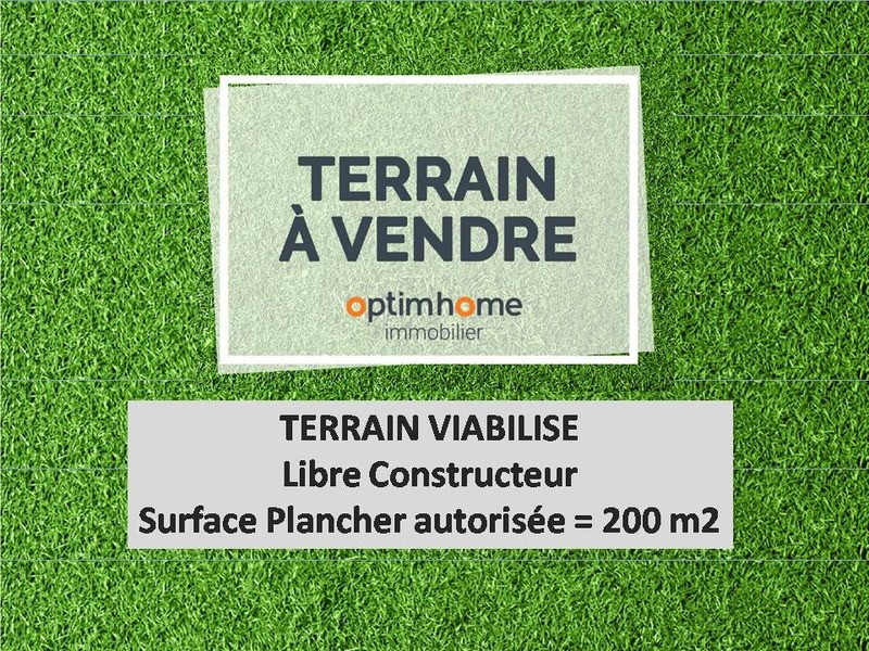 Terrain