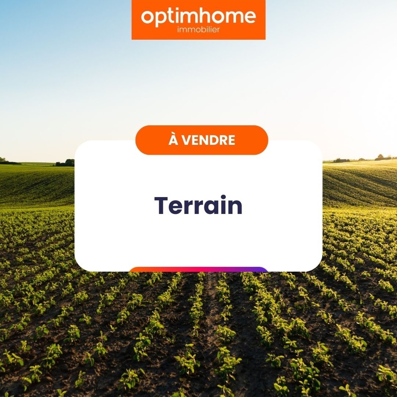 Terrain