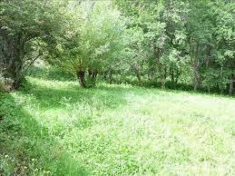 Terrain