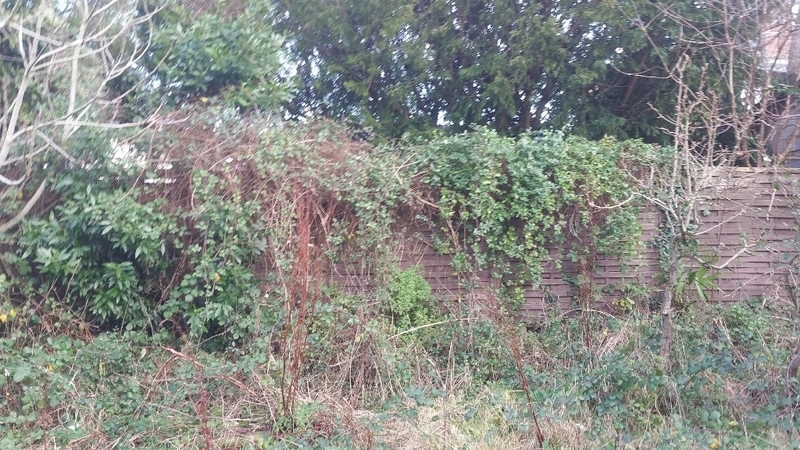 Terrain