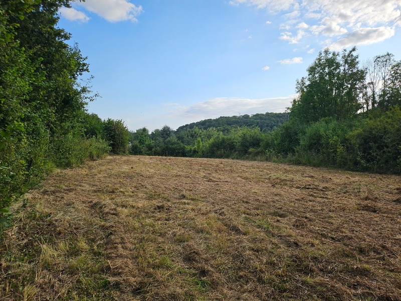 Terrain