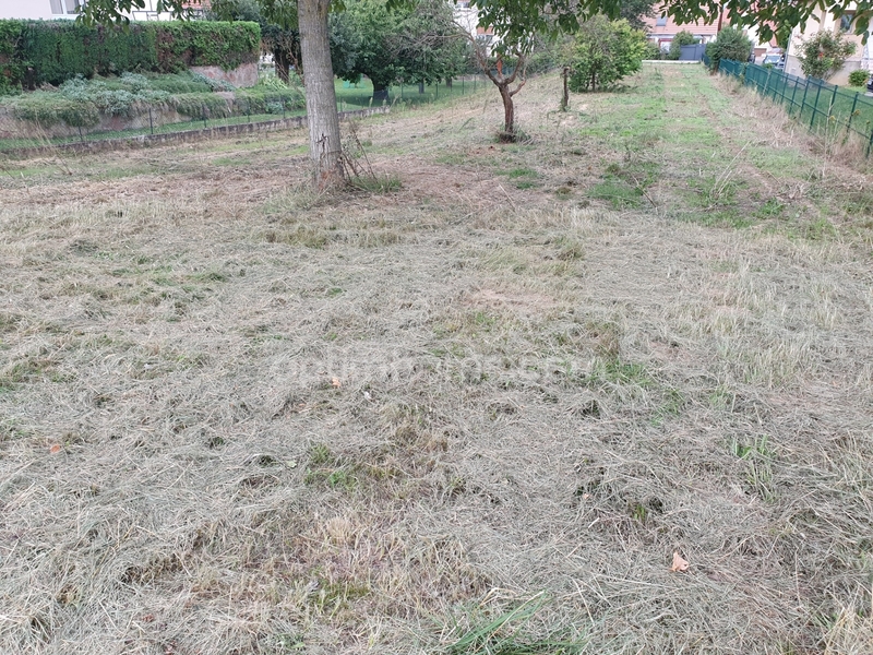 Terrain