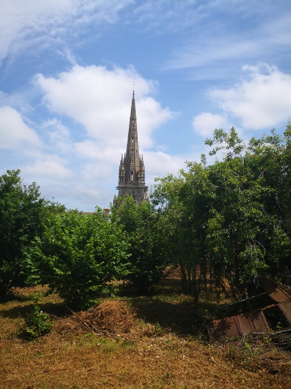 Terrain