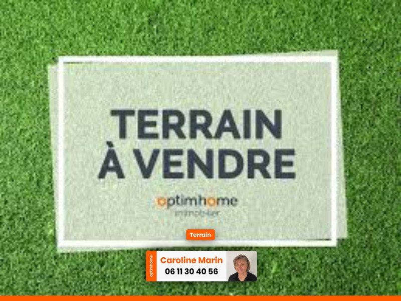 Terrain