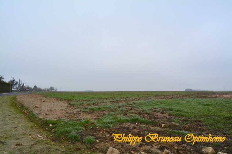 Terrain