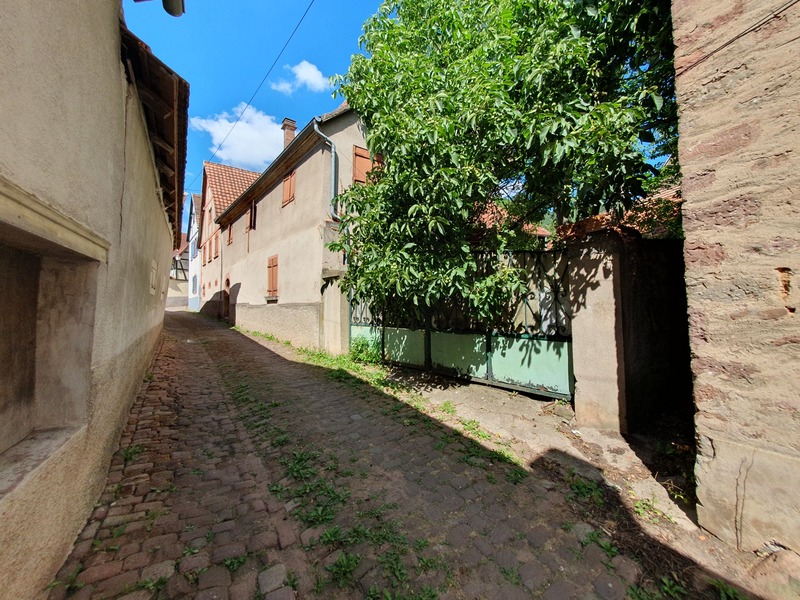 Maison