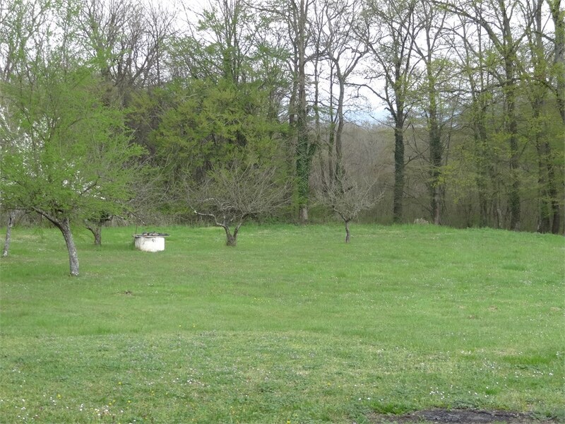 Terrain