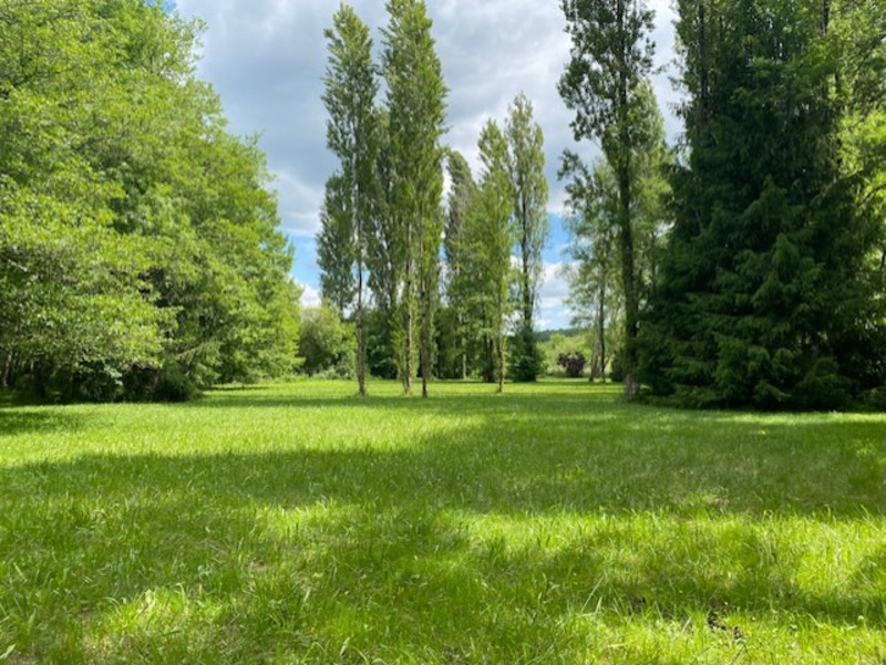 Terrain