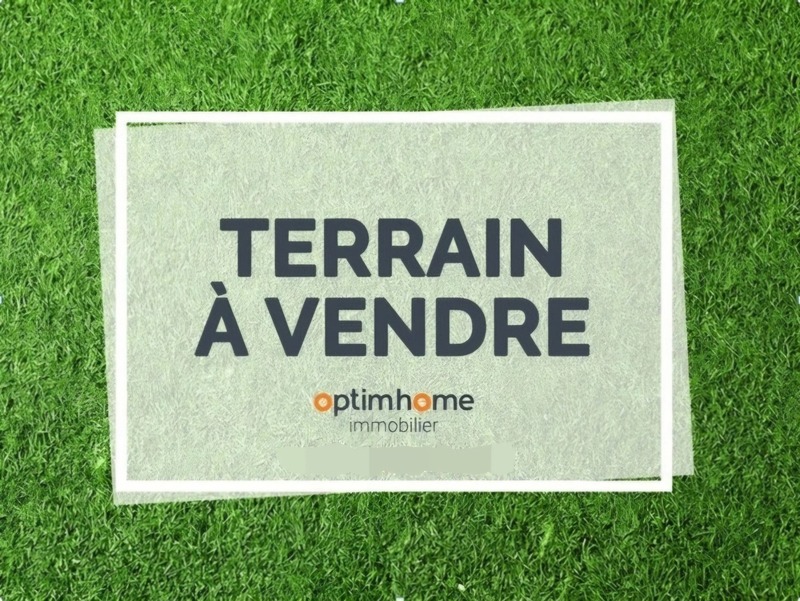 Terrain