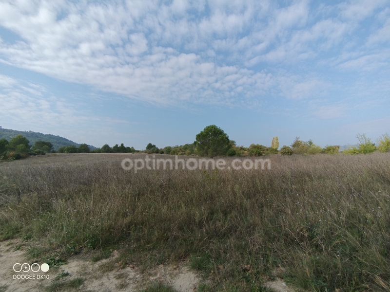 Land