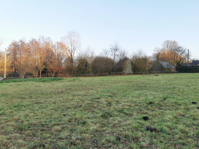 Terrain